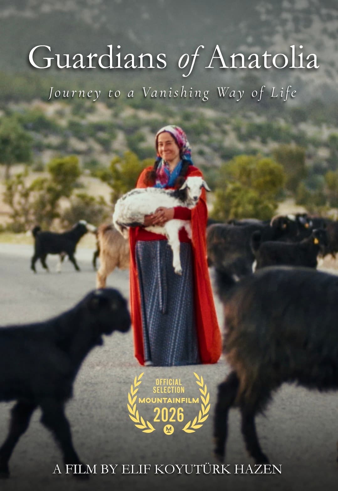 Poster for Guardians of Anatolia