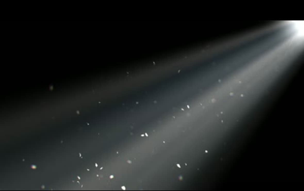 Film Panel Discussion